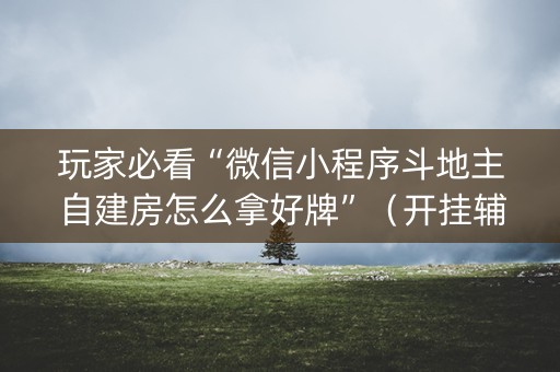 玩家必看“微信小程序斗地主自建房怎么拿好牌”（开挂辅助器脚本)