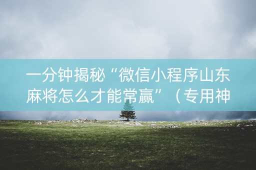 一分钟揭秘“微信小程序山东麻将怎么才能常赢”（专用神器)