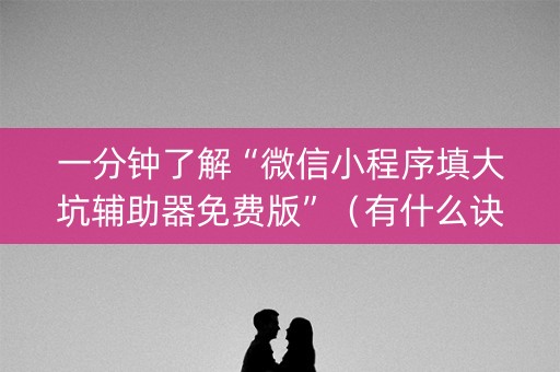 一分钟了解“微信小程序填大坑辅助器免费版”（有什么诀窍)
