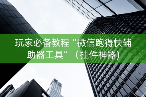 玩家必备教程“微信跑得快辅助器工具”（挂件神器)