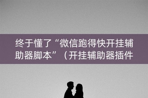 终于懂了“微信跑得快开挂辅助器脚本”（开挂辅助器插件)