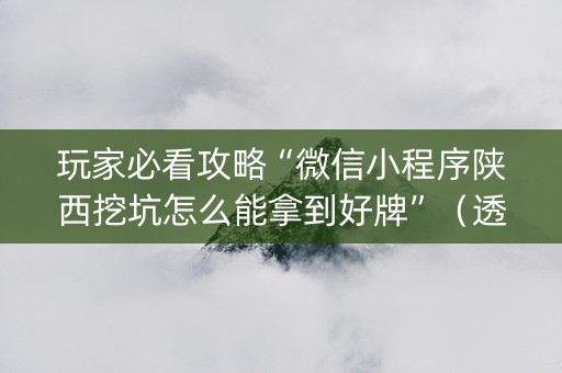 玩家必看攻略“微信小程序陕西挖坑怎么能拿到好牌”（透明器教程)