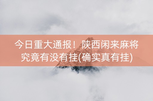 今日重大通报！陕西闲来麻将究竟有没有挂(确实真有挂)