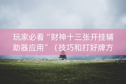 玩家必看“财神十三张开挂辅助器应用”（技巧和打好牌方法)