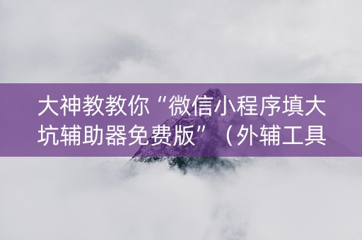 大神教教你“微信小程序填大坑辅助器免费版”（外辅工具)