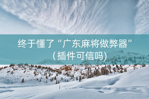 终于懂了“广东麻将做弊器”（插件可信吗)