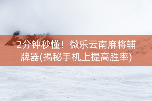 2分钟秒懂！微乐云南麻将辅牌器(揭秘手机上提高胜率)