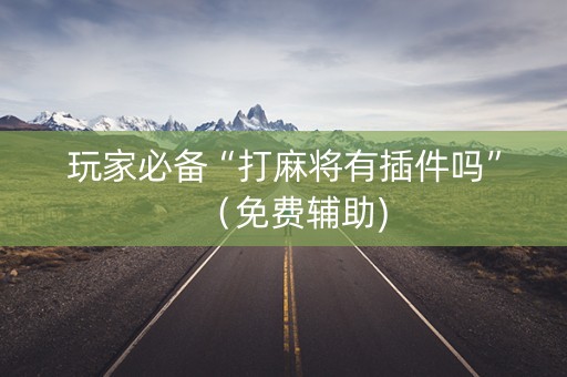 玩家必备“打麻将有插件吗”（免费辅助)