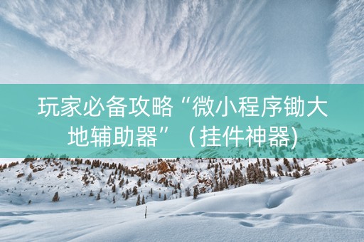玩家必备攻略“微小程序锄大地辅助器”（挂件神器)