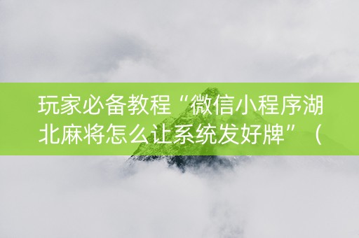 玩家必备教程“微信小程序湖北麻将怎么让系统发好牌”（开挂辅助插件)