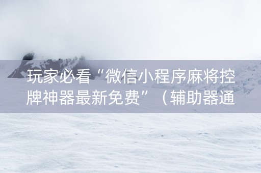 玩家必看“微信小程序麻将控牌神器最新免费”（辅助器通用版)