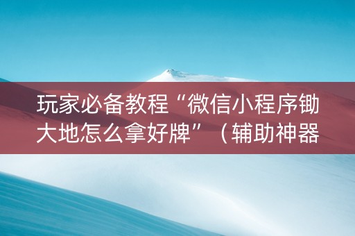 玩家必备教程“微信小程序锄大地怎么拿好牌”（辅助神器免费)