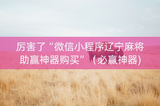 厉害了“微信小程序辽宁麻将助赢神器购买”（必赢神器)