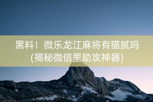 黑料！微乐龙江麻将有猫腻吗(揭秘微信里助攻神器)