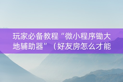 玩家必备教程“微小程序锄大地辅助器”（好友房怎么才能赢)