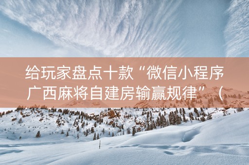 给玩家盘点十款“微信小程序广西麻将自建房输赢规律”（辅助器通用版)