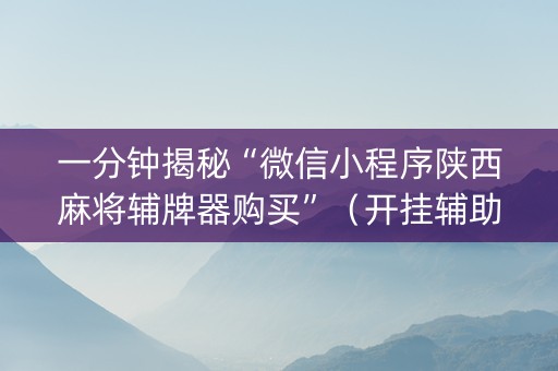 一分钟揭秘“微信小程序陕西麻将辅牌器购买”（开挂辅助器插件)