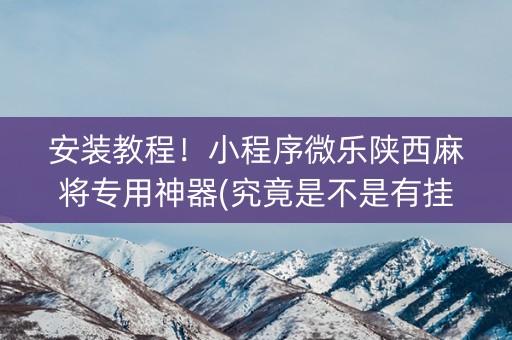 安装教程！小程序微乐陕西麻将专用神器(究竟是不是有挂)