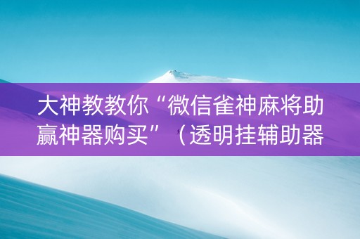 大神教教你“微信雀神麻将助赢神器购买”（透明挂辅助器)