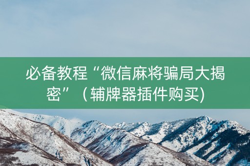 必备教程“微信麻将骗局大揭密”（辅牌器插件购买)