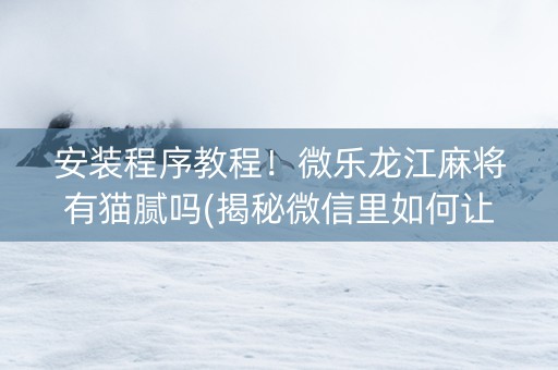 安装程序教程！微乐龙江麻将有猫腻吗(揭秘微信里如何让牌变好)
