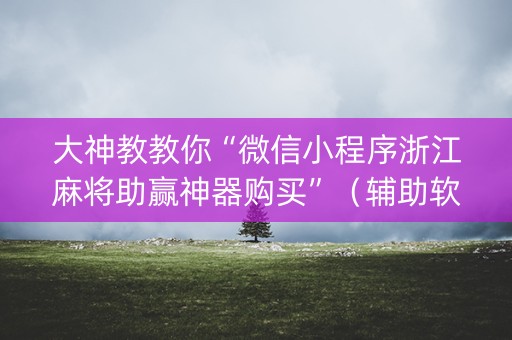 大神教教你“微信小程序浙江麻将助赢神器购买”（辅助软件)