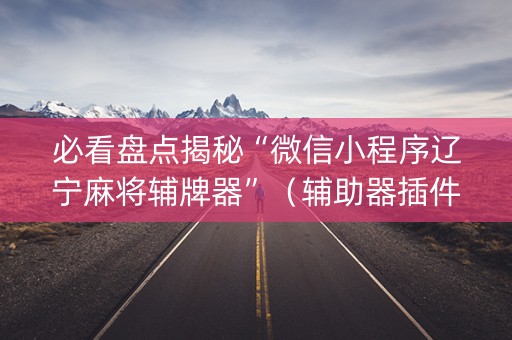 必看盘点揭秘“微信小程序辽宁麻将辅牌器”（辅助器插件)