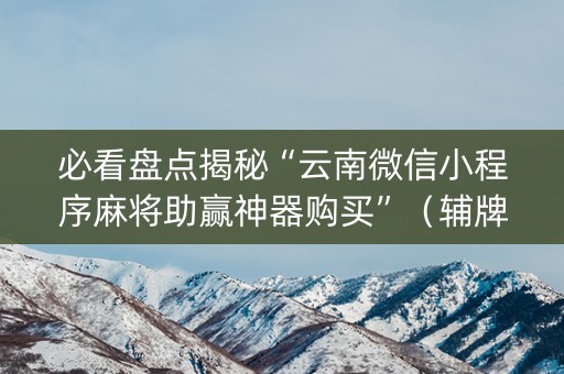 必看盘点揭秘“云南微信小程序麻将助赢神器购买”（辅牌器插件购买)