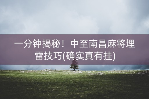 一分钟揭秘！中至南昌麻将埋雷技巧(确实真有挂)