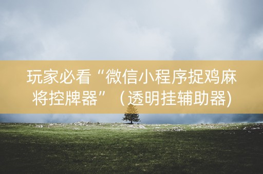 玩家必看“微信小程序捉鸡麻将控牌器”（透明挂辅助器)