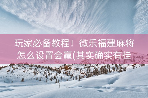玩家必备教程！微乐福建麻将怎么设置会赢(其实确实有挂)