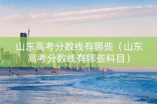 山东高考分数线有哪些（山东高考分数线有哪些科目）