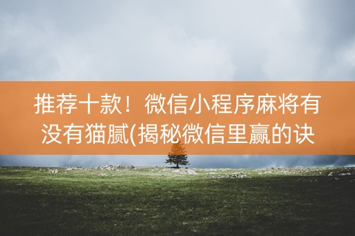 推荐十款！微信小程序麻将有没有猫腻(揭秘微信里赢的诀窍)