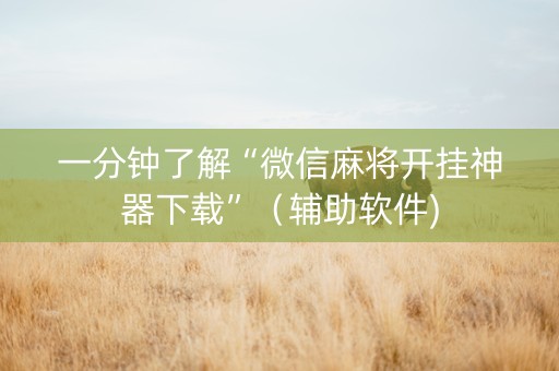 一分钟了解“微信麻将开挂神器下载”（辅助软件)