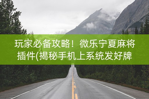 玩家必备攻略！微乐宁夏麻将插件(揭秘手机上系统发好牌)