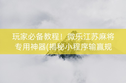 玩家必备教程！微乐江苏麻将专用神器(揭秘小程序输赢规律)