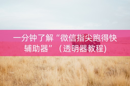 一分钟了解“微信指尖跑得快辅助器”（透明器教程)