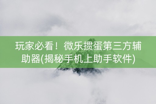 玩家必看！微乐掼蛋第三方辅助器(揭秘手机上助手软件)