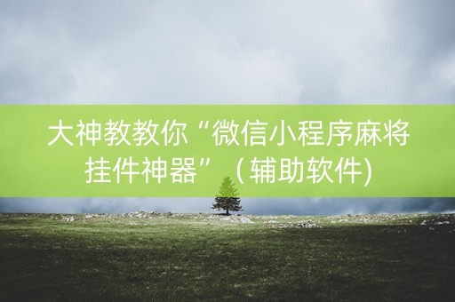 大神教教你“微信小程序麻将挂件神器”（辅助软件)