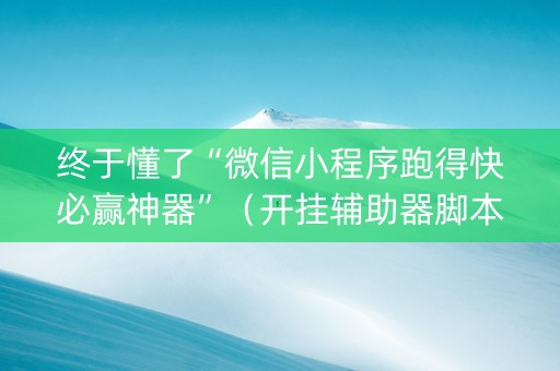 终于懂了“微信小程序跑得快必赢神器”（开挂辅助器脚本)