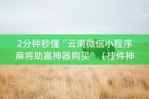 2分钟秒懂“云南微信小程序麻将助赢神器购买”（挂件神器)
