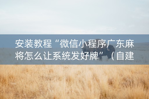 安装教程“微信小程序广东麻将怎么让系统发好牌”（自建房怎么拿好牌)