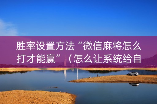 胜率设置方法“微信麻将怎么打才能赢”（怎么让系统给自己好牌)