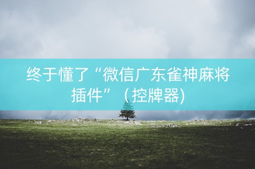 终于懂了“微信广东雀神麻将插件”（控牌器)