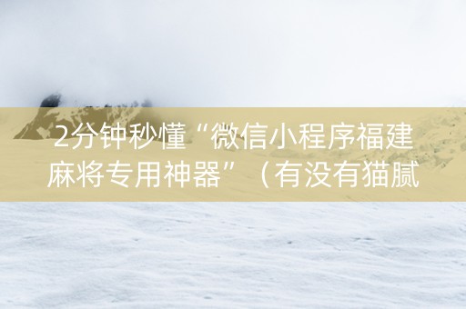 2分钟秒懂“微信小程序福建麻将专用神器”（有没有猫腻)