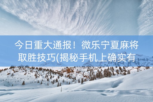 今日重大通报！微乐宁夏麻将取胜技巧(揭秘手机上确实有猫腻)