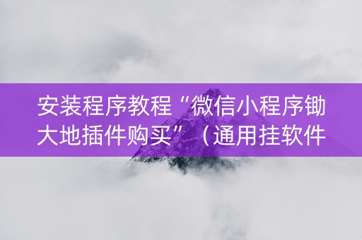 安装程序教程“微信小程序锄大地插件购买”（通用挂软件多少钱)