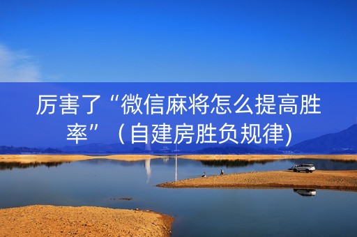 厉害了“微信麻将怎么提高胜率”（自建房胜负规律)