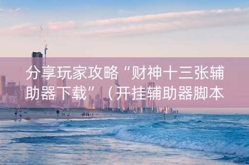 分享玩家攻略“财神十三张辅助器下载”（开挂辅助器脚本)