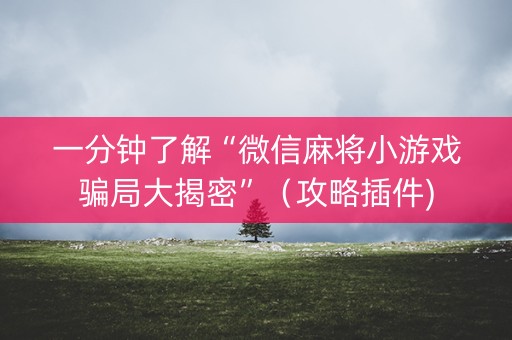 一分钟了解“微信麻将小游戏骗局大揭密”（攻略插件)